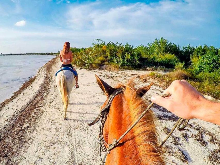 Holbox: Guided Horseback Ride on the Beach - Activity Overview