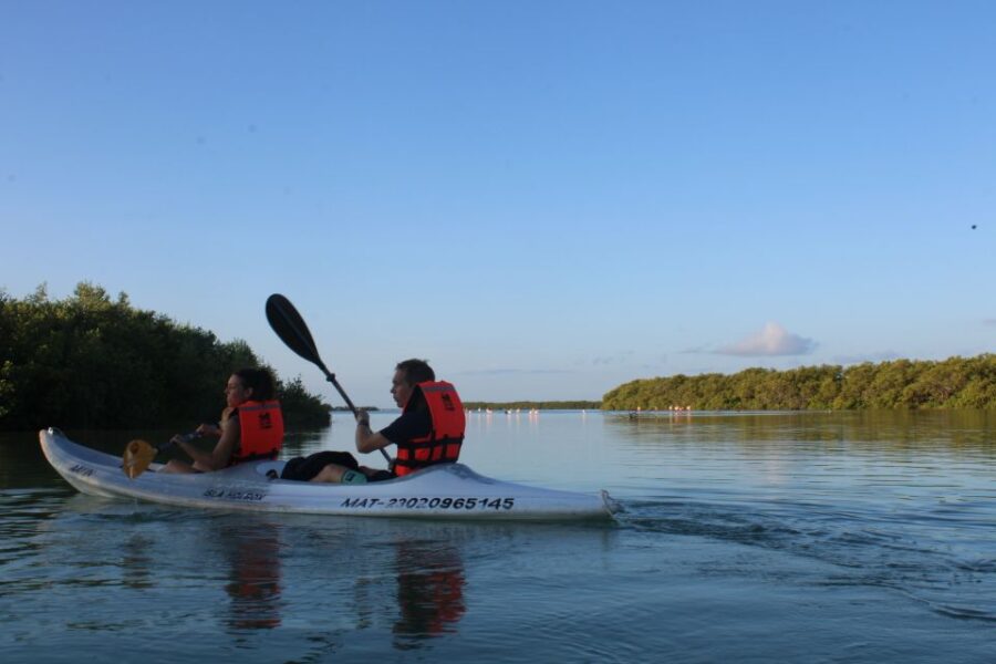 Holbox: Guided Sunrise Kayak Tour Through Mangrove Reserve - Tour Overview and Pricing