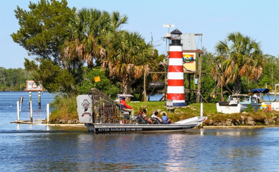 2 Best Dolphin Watching Tours In Crystal River