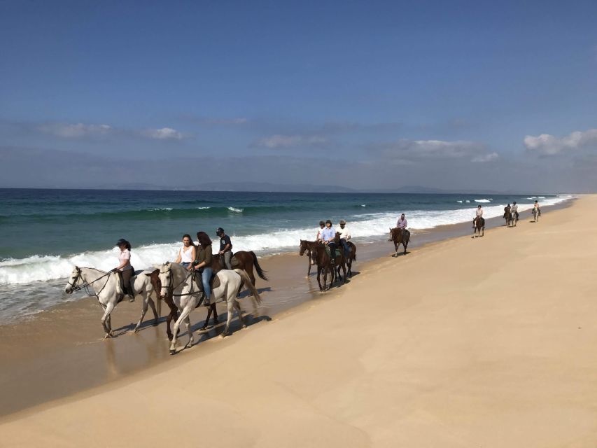 Horse Riding on the Beach With Private Transfer From Lisbon - Tour Overview