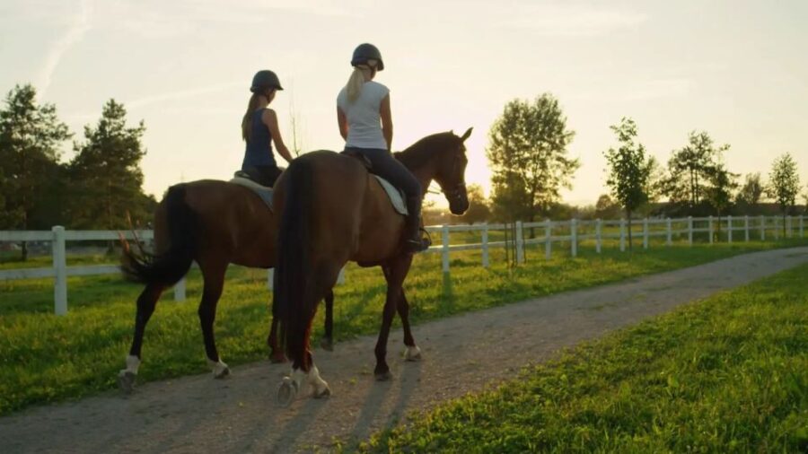 Horse Riding Tour in Alanya - Tour Overview