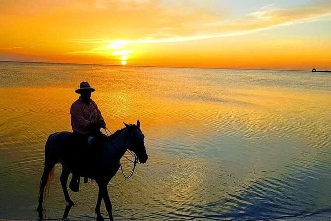 Horseback Riding on the Beaches of Holbox - Tour Overview and Details