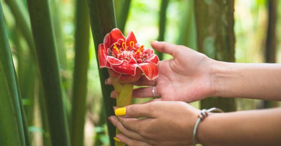 Huatulco: Nature Park With Fruit Tasting & Optional Zipline - Agro-Ecotourism Park Overview