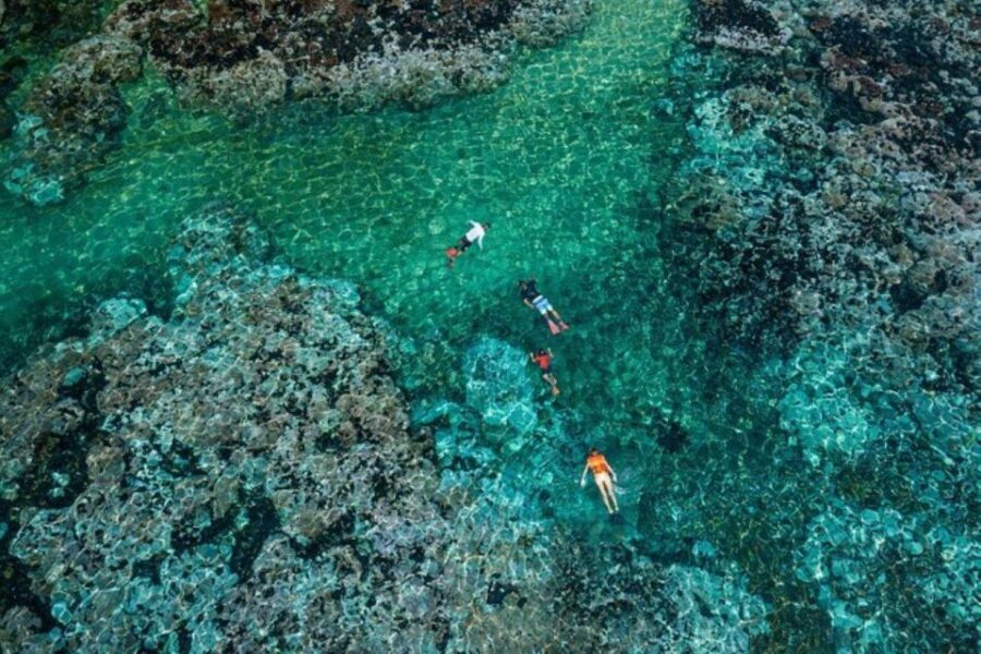 Huatulco: Premium Family Snorkeling Experience - Experience Highlights