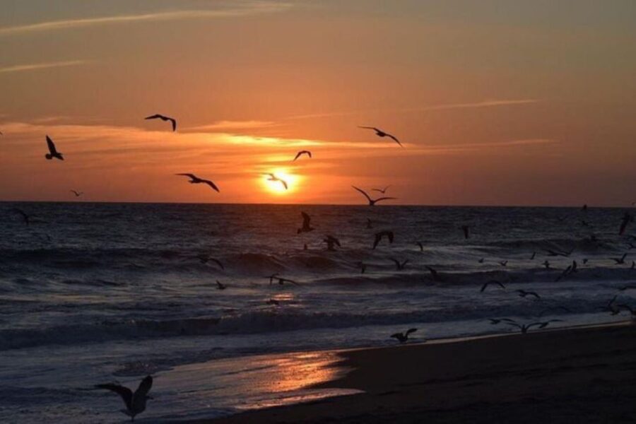 Huatulco: Unique Turtle Sanctuary & Sunset Experience