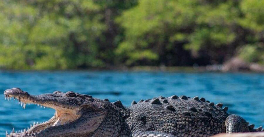 Huatulco: Ventanilla, Zipolite, Mazunte, and Puerto Angel Tour