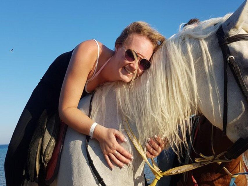 Hurghada: Desert and Sea Horseback Riding Tour With Transfer - Tour Overview