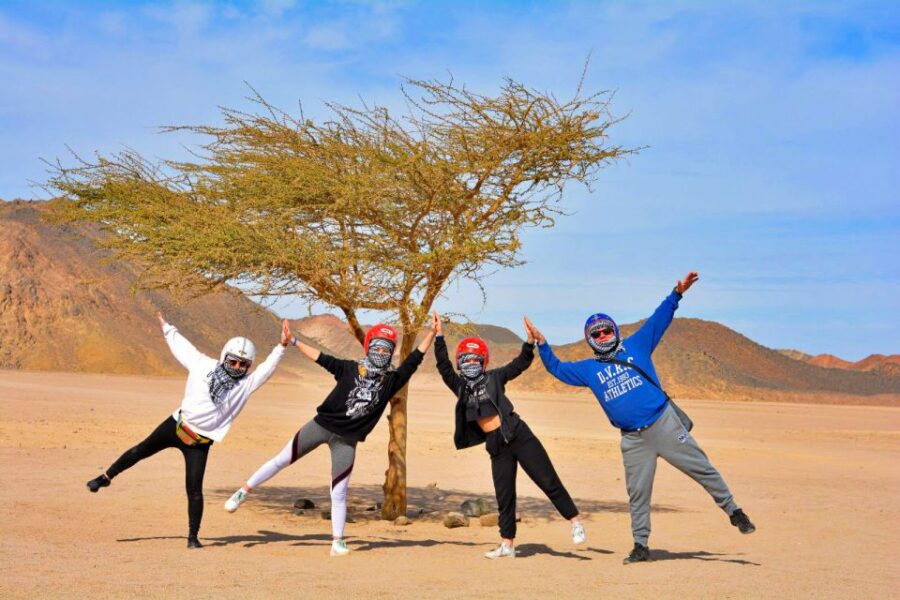 Hurghada: Desert Quad, Bedouin Village, and Camel Ride Tour