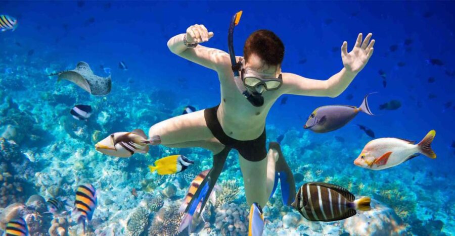 Hurghada: Giftun Island Snorkelling Trip With Lunch