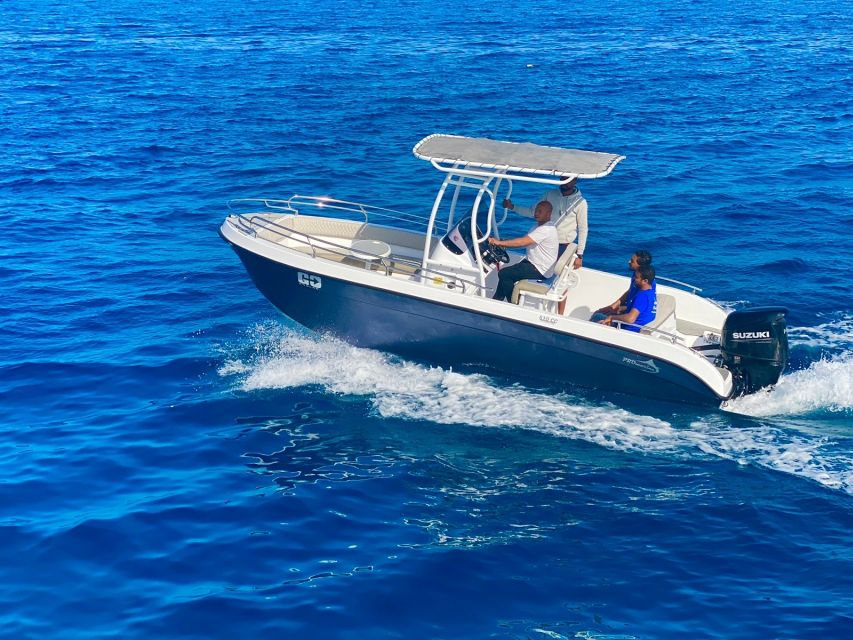 Hurghada: Orange Bay Dolphin Watching, Snorkeling & Lunch