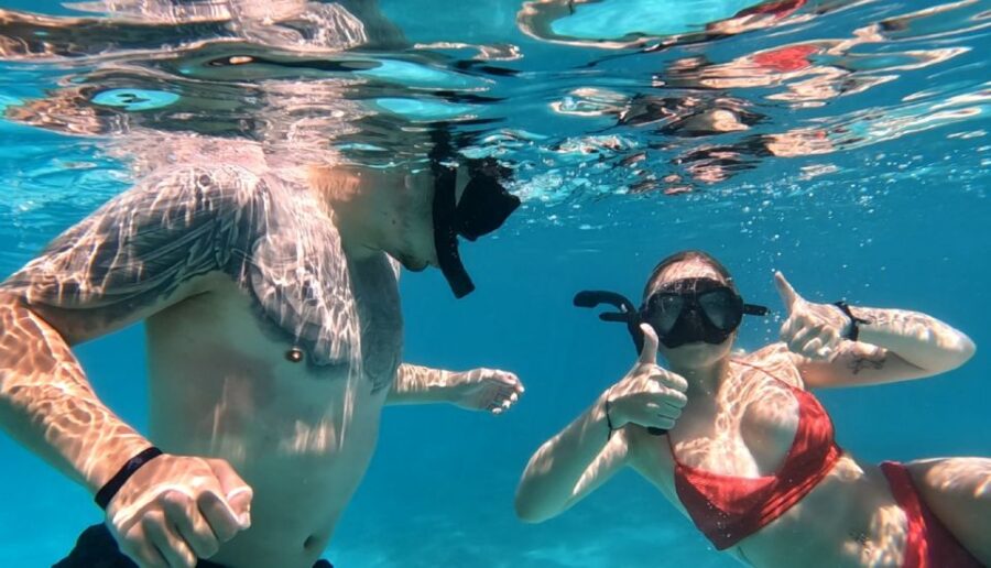 Hurghada: Private Speedboat to Dolphin House With Pickup