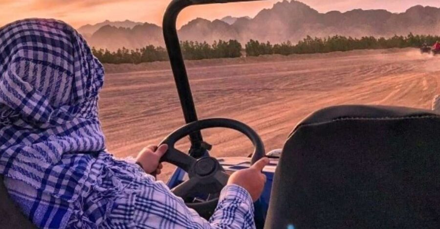 Hurghada: Quad, Jeep, Camel and Buggy Safari With BBQ Dinner