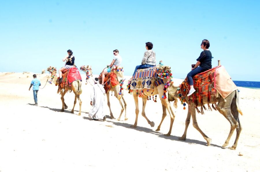 Hurghada: Sea & Desert Camel Ride W/Dinner, Show, Stargazing