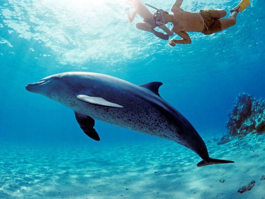 Hurghada: Snorkeling, Dolphin Watching & Banana Boat Fun