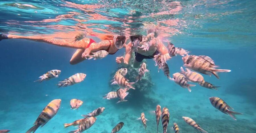 Hurghada: Snorkelling Trip by Speedboat With Hotel Pickup