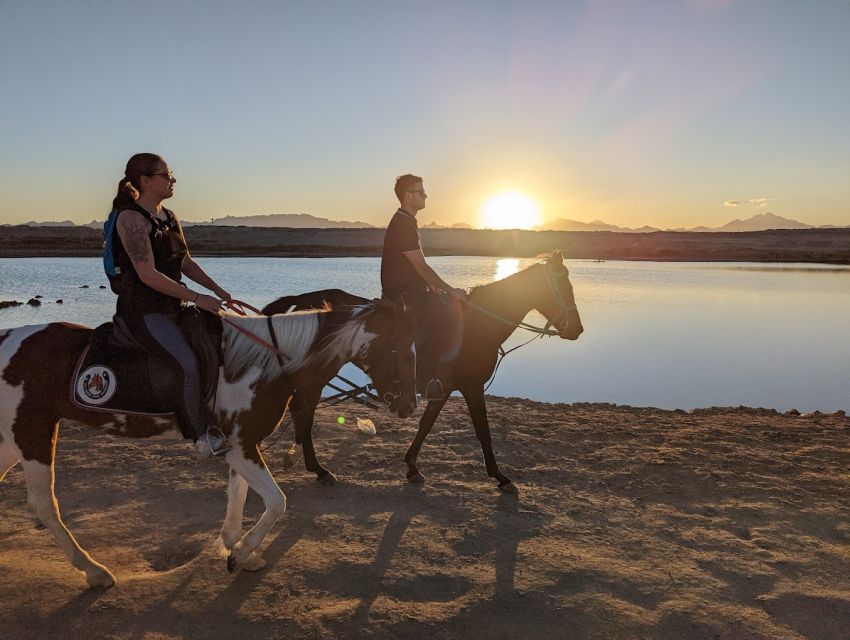 Hurghada: Stargazing by ATV, Camel, Horse, Dinner & Show