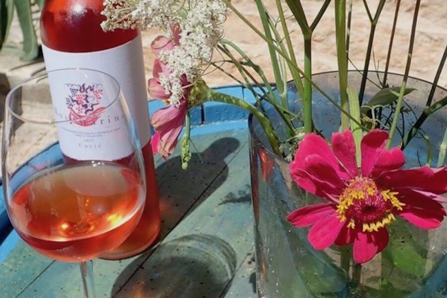 Hvar Wine Tour + Dalmatian Dinner