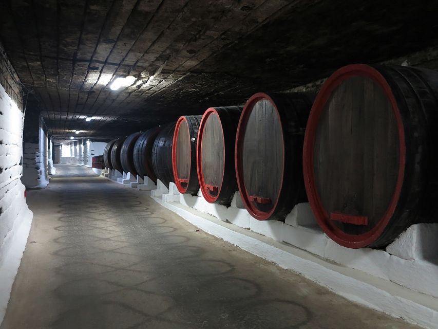 Iasi: Cricova Winery, Chisinau City Tour and Capriana