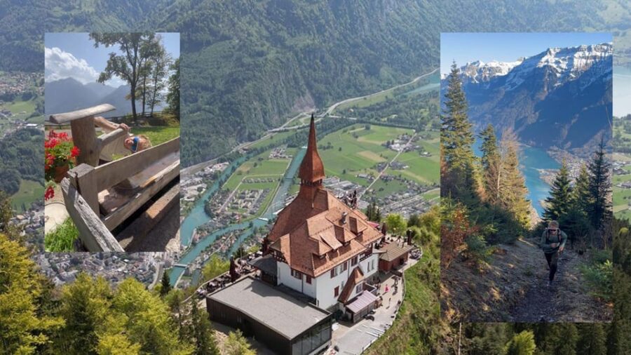 Interlaken: Guided Hike to Harder Kulm With Swiss Triathlete - Activity Overview