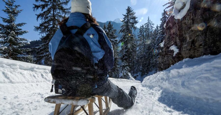 Interlaken: Guided Sledging Adventure - Overview of the Activity