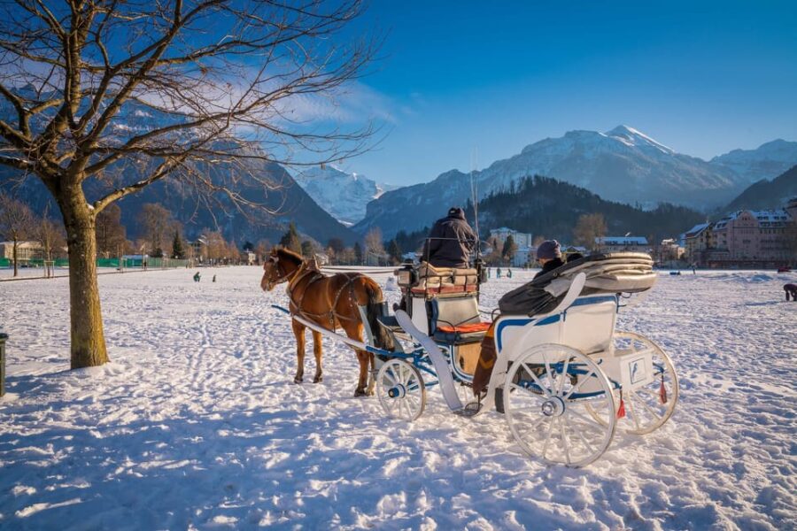 Interlaken: Highlights Tour With Horse Carriage
