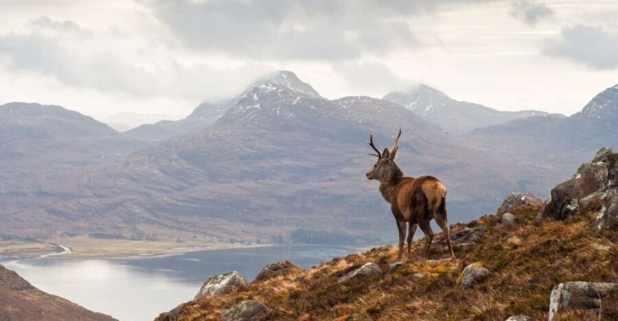 Inverness: Applecross, Loch Carron & Wild Highlands Day Tour