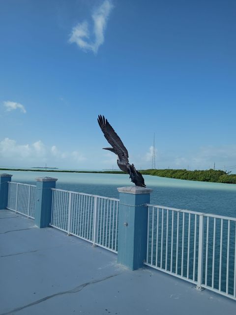 Islamorada: Guided Tour With Local Highlights