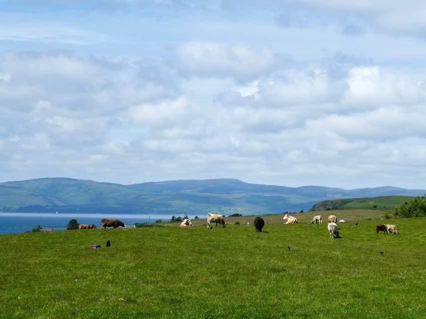 Isle of Arran: Self Guided Farm Experience