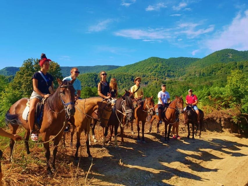 Istanbul: 1 Hours Horse Riding With Trained Horses - Activity Overview