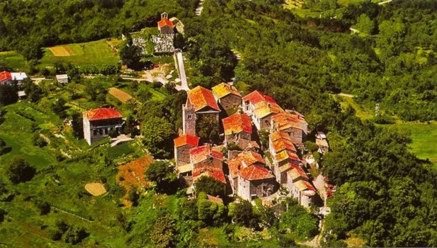 Istria Highlights Tour From Rijeka or Pula