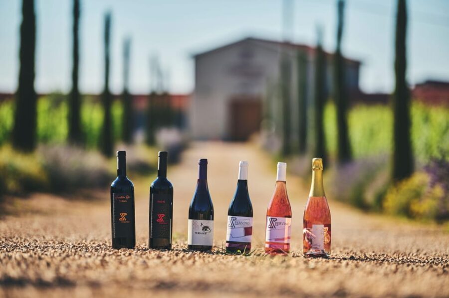 Istria: Pervino Wine Tasting - Activity Overview