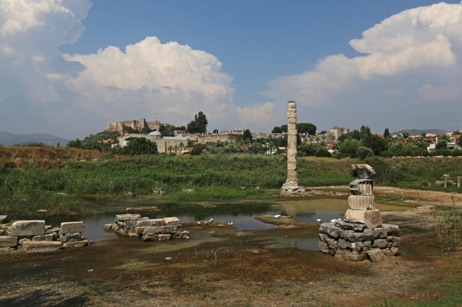 Izmir: Ephesus Private Tour for Cruise Guests