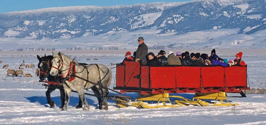 Jackson: Grand Teton and National Elk Refuge Winter Day Trip - Pricing and Duration