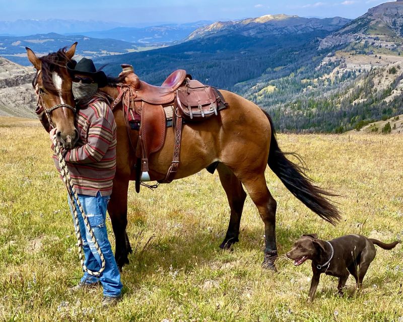 Jackson Hole: Bridger-Teton National Forest Horseback Ride - Activity Overview
