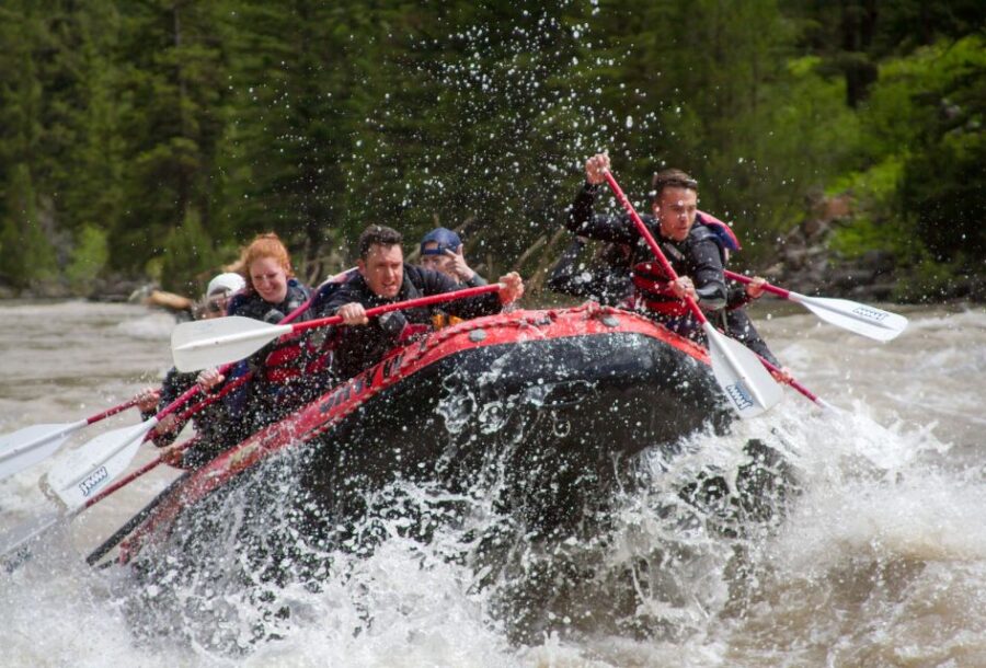 Jackson: Snake River Class 2-3 Whitewater Rafting Adventure - Whitewater Adventure Overview