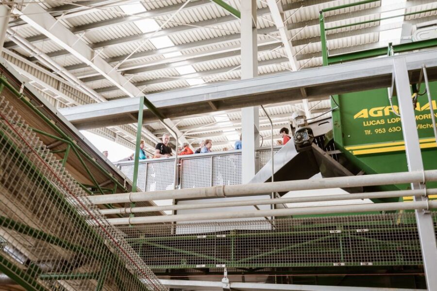 Jaén: Unforgettable Visit to the Olive Mill + EVOO Tasting