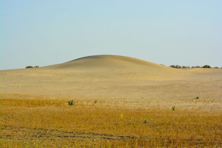 Jaisalmer Private City Tour With Camel Safari in Desert