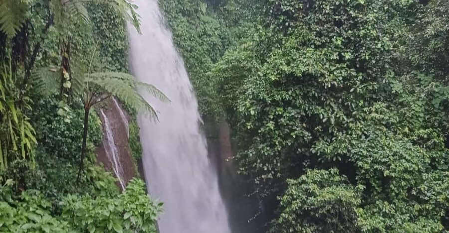 Jakarta Bogor Botanical Garden, Waterfall and Rice Terrace