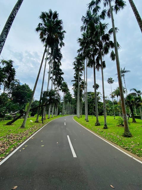 Jakarta: Botanical Garden, Waterfall, Village & Rice Field