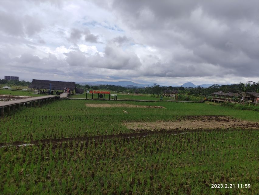 Jakarta : Botanical Garden, Waterfalls, and Rice Fields Tour