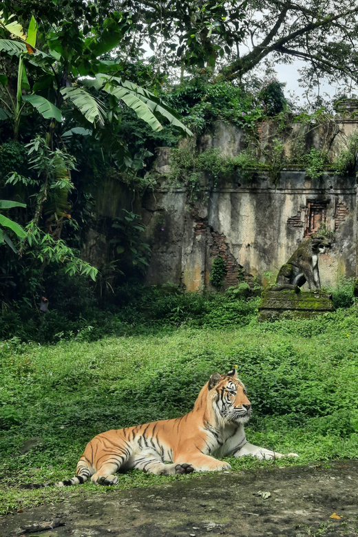 Jakarta: Safari Park, Panda Palace, and Waterfall