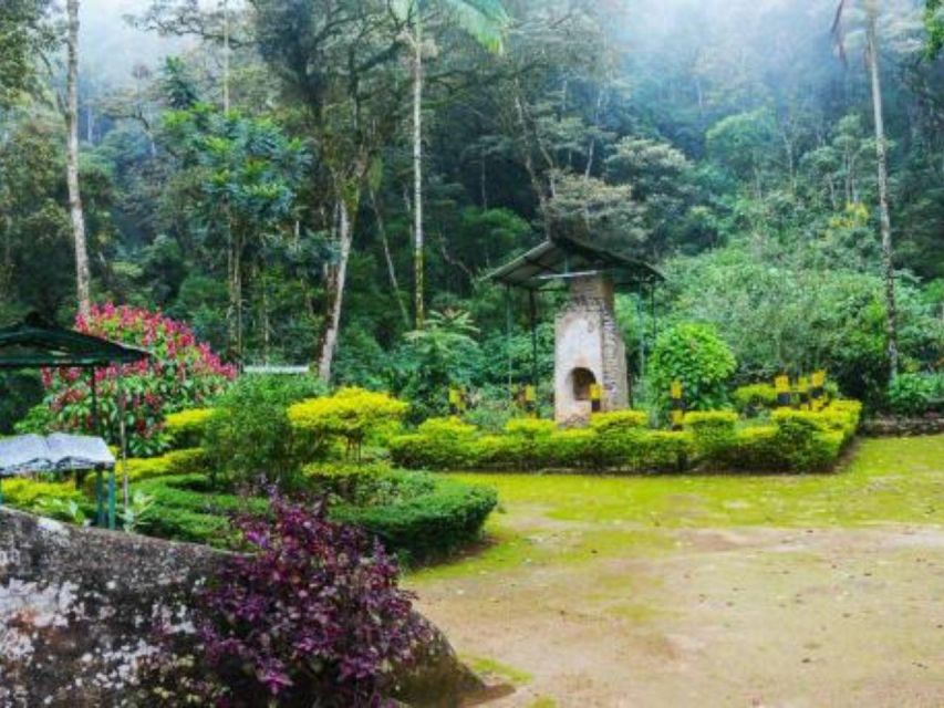 James Taylors Enchanting Tea Story Tour From Kandy