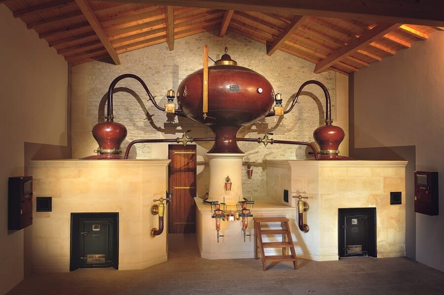Jarnac-Champagne: Tour at Château Montifaud Cognac