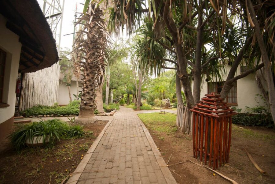 Johannesburg: 4-Day Classic Kruger National Park Safari