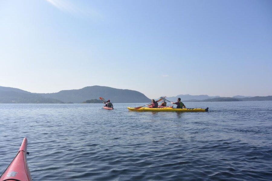 Jørpeland: Guided Fjord Tour Kayak - Experience Highlights