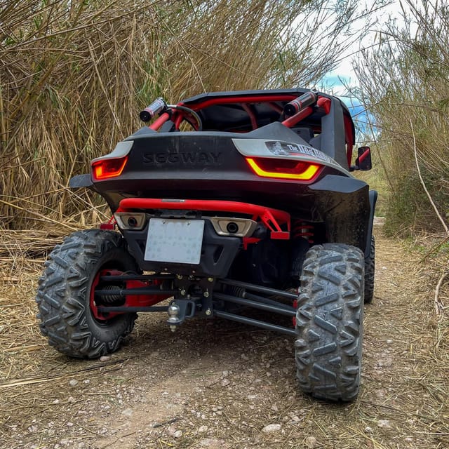 Jungle: Buggy Adventure
