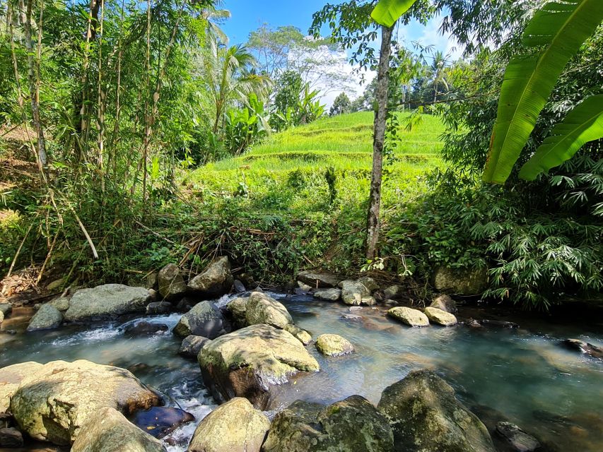 Jungle Trekking at Mt. Batukaru, Scenic Waterfall & Village - Tour Overview