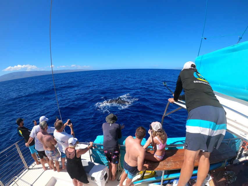 Kaanapali: Whale Watching Cruise With Open Bar - Tour Overview
