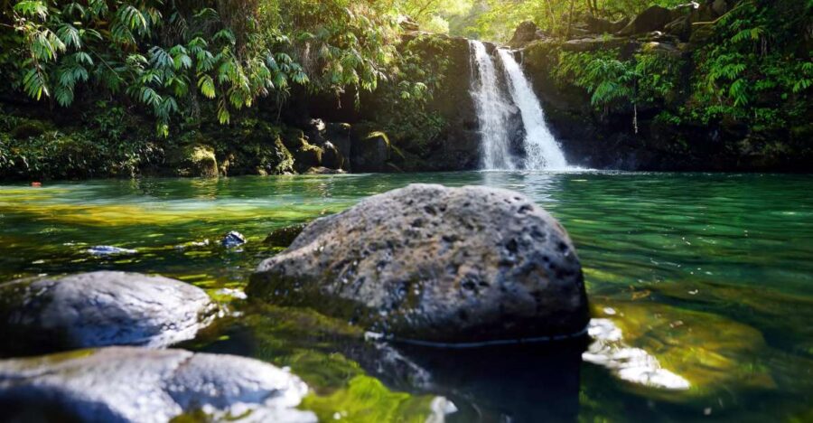 Kahului: Guided Rainforest and Waterfall Walk - Tour Overview