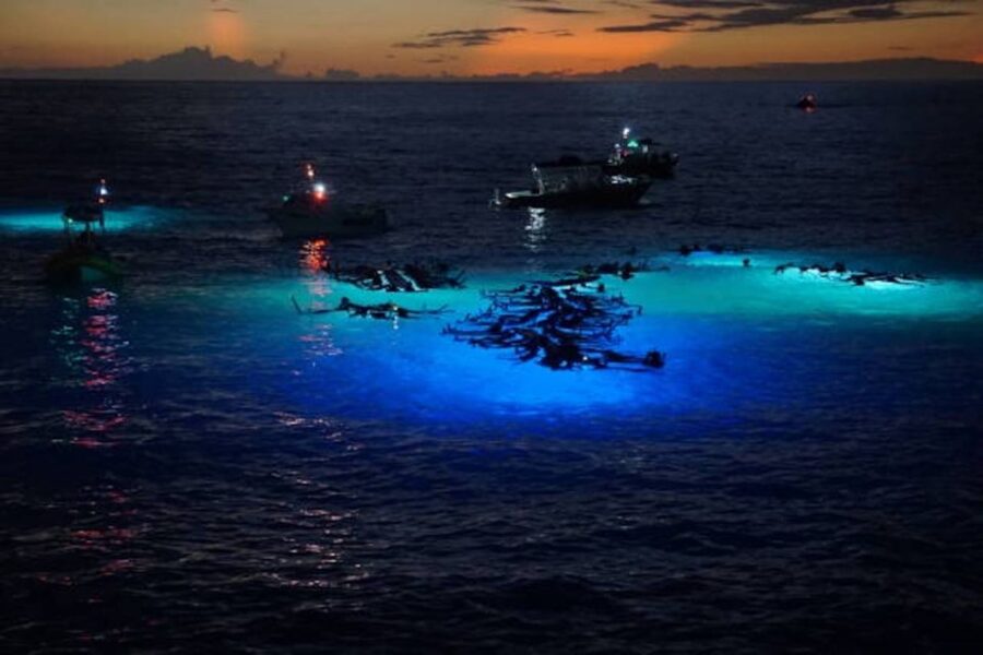 Kailua-Kona: Manta Ray Watching Nighttime Boat Trip